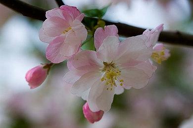 虚幻5.4技术演示画面逼真 但RTX4080很难达到4K＆60帧